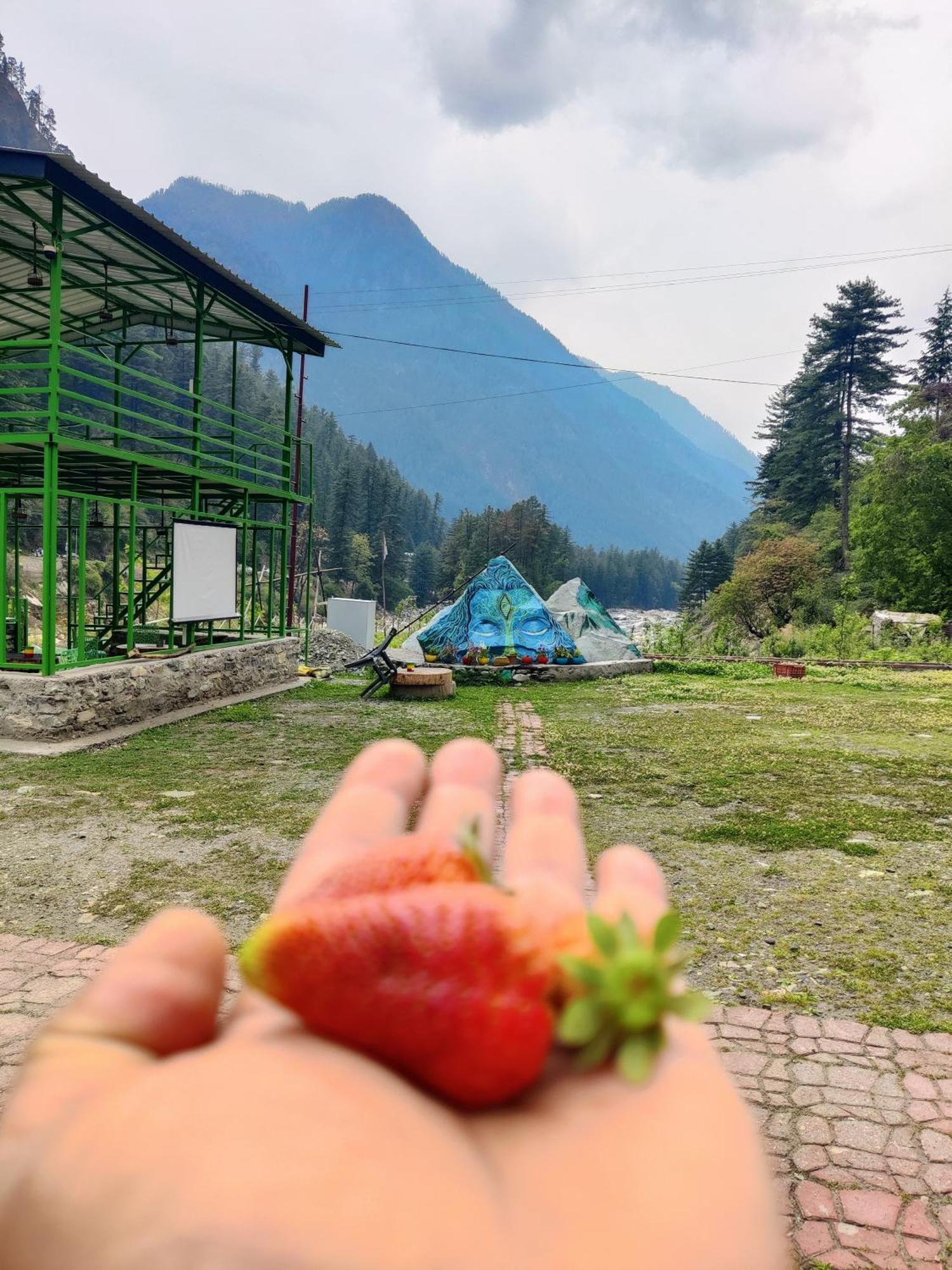 Hotel Flipsyde Retreat Kasol Exterior foto